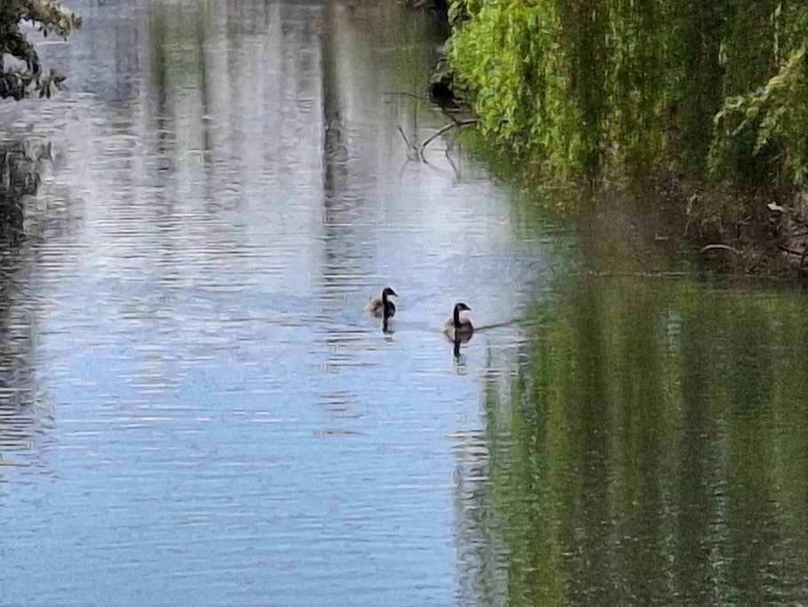 Samung Galaxy A35- Test photo