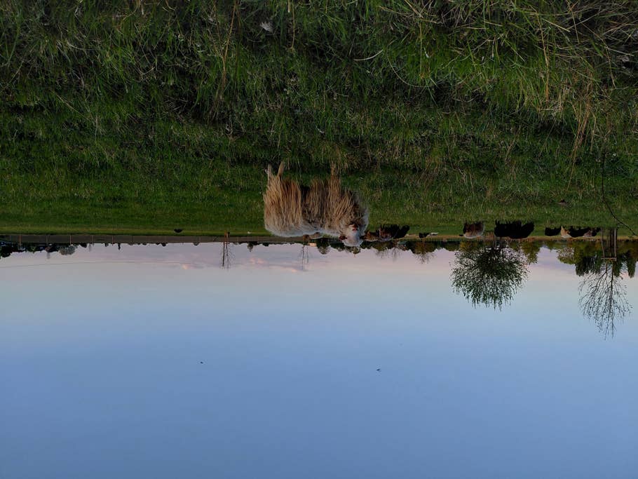 samsung-galaxy-a36-photos-de-test