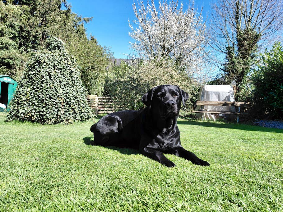 samsung-galaxy-a36-photos-de-test