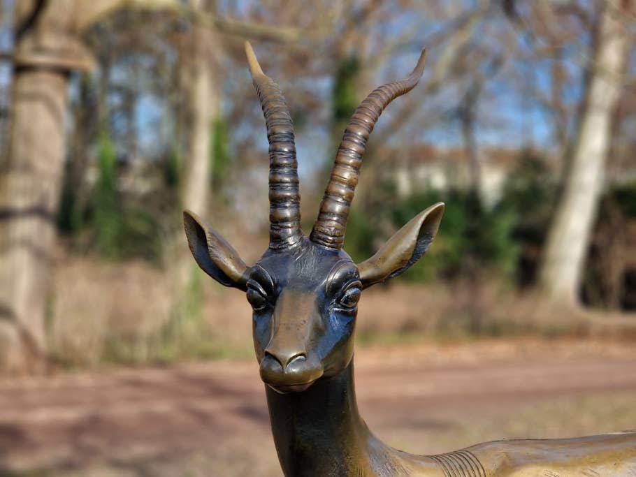 Galaxy S23 Ultra vs Galaxy S22 Ultra comparatif photo