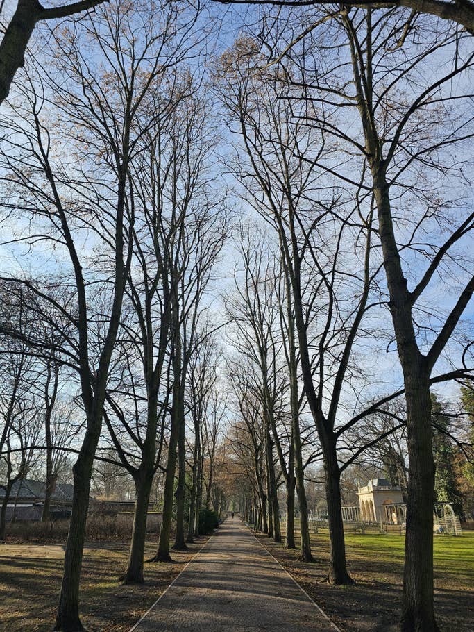 Galaxy S23 Ultra Test photo