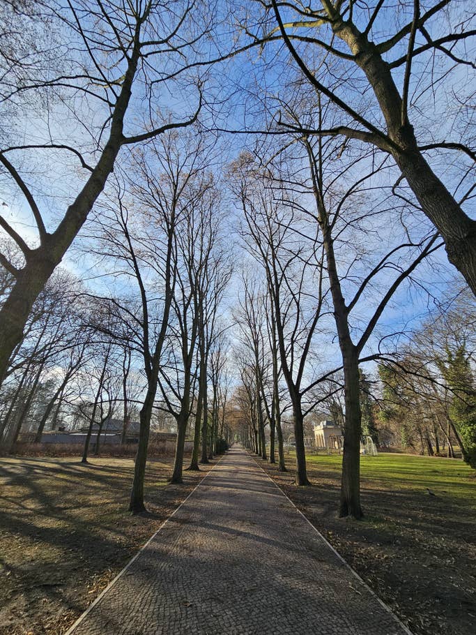 Galaxy S23 Ultra Test photo