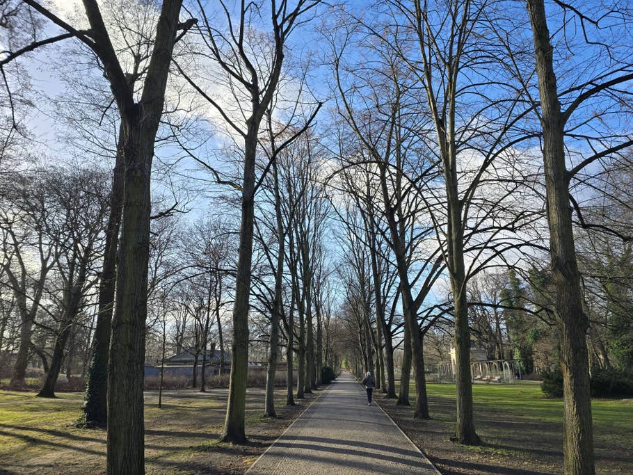 Une photo de test prise avec le Samsung Galaxy S24 Ultra