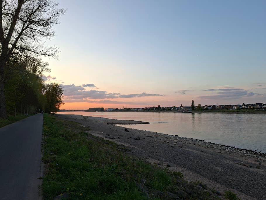 Samsung Galaxy A56 sample photo.