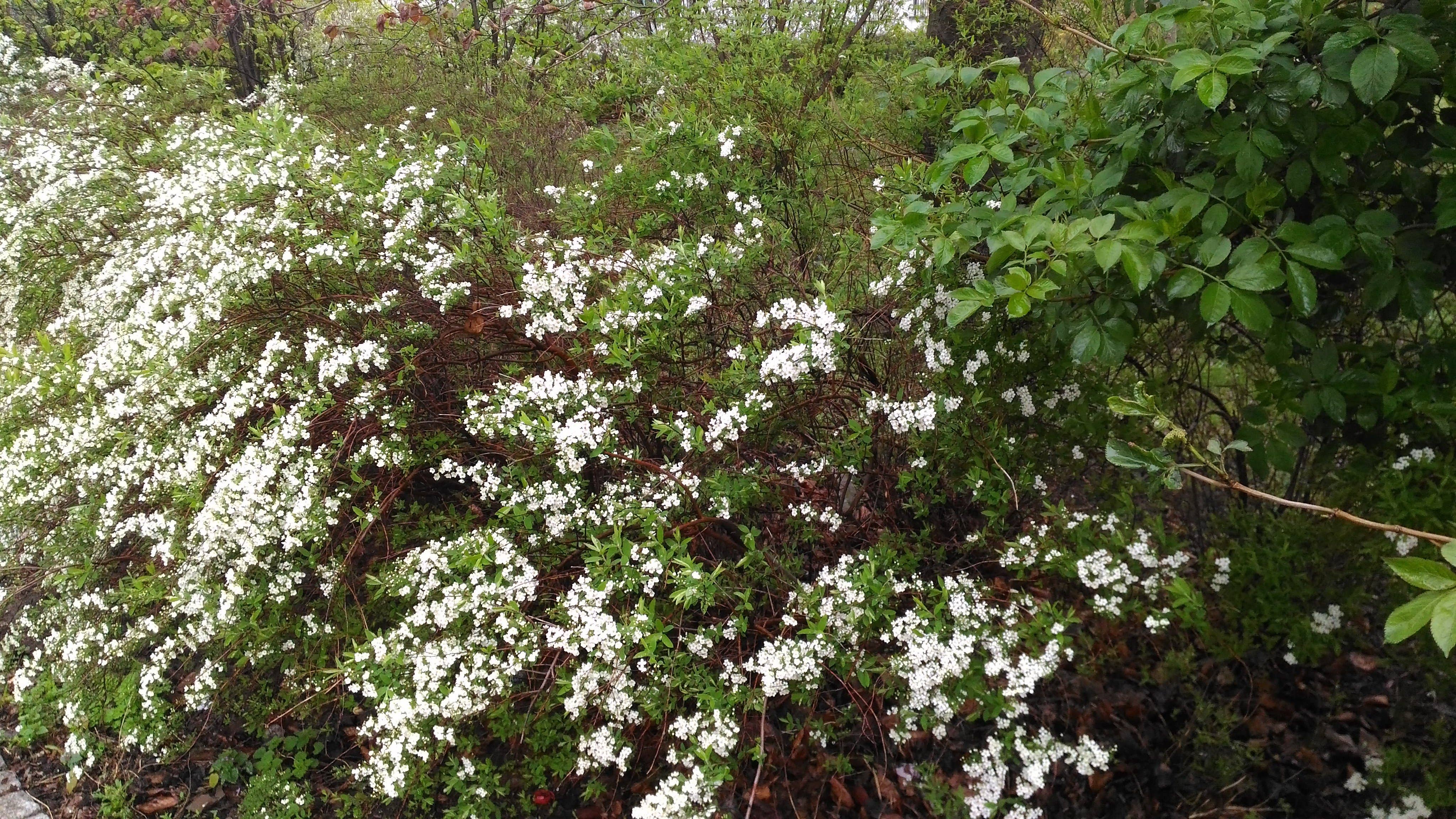 test complet asus zenfone max qualite photo arriere image 04