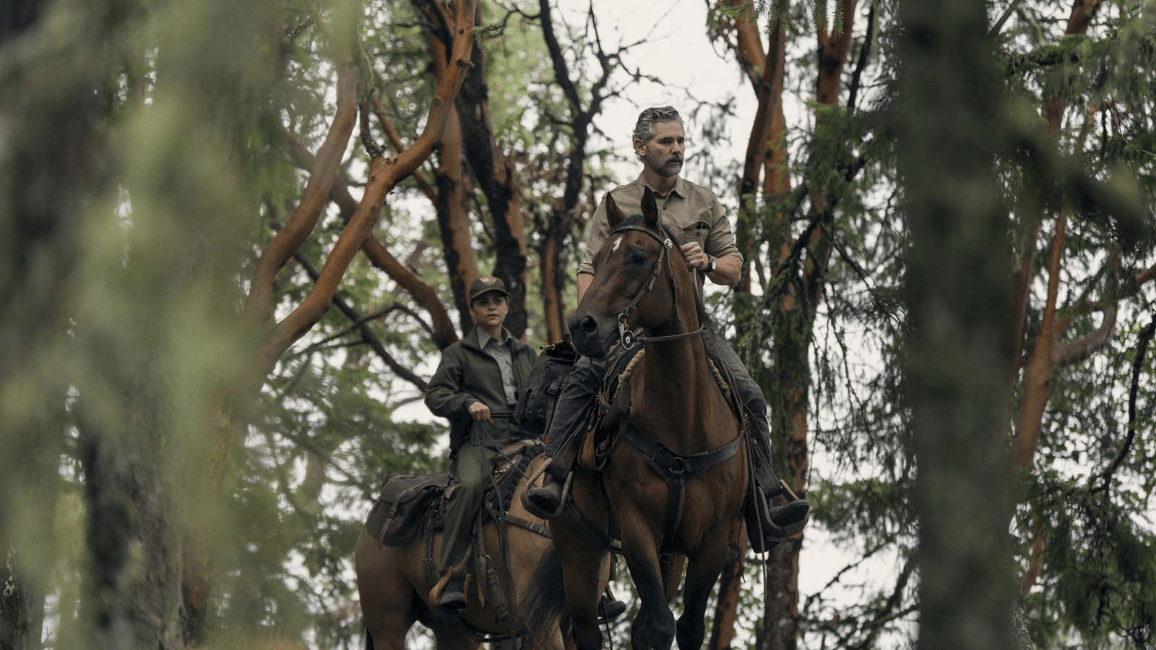 Deux cavaliers à cheval naviguent à travers une forêt dense.