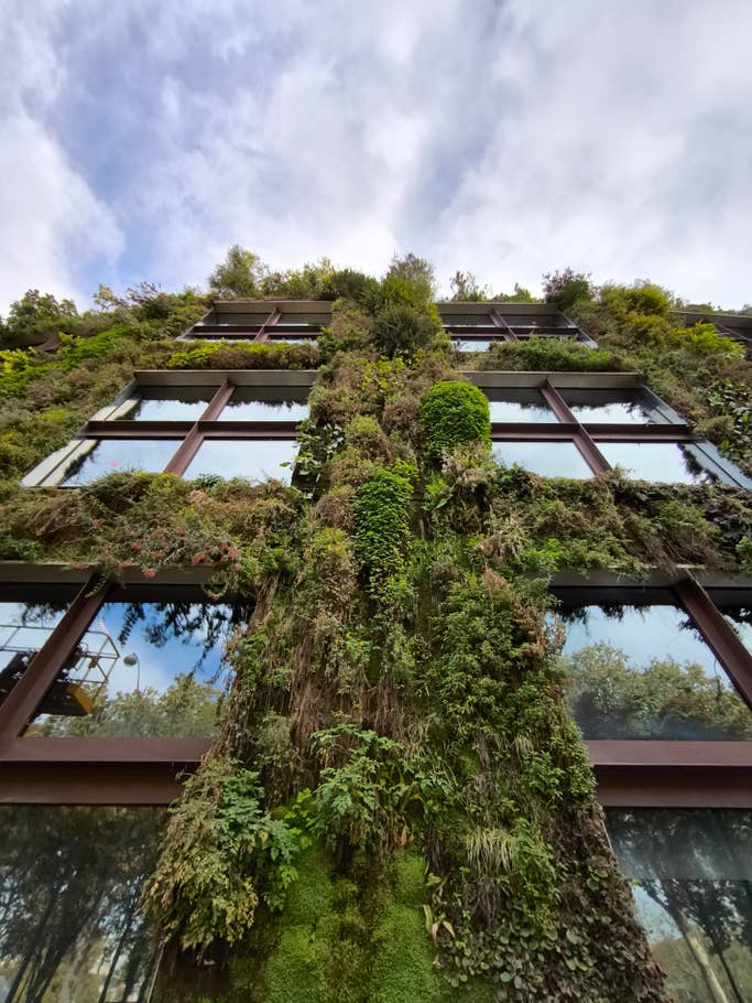 xiaomi-13t-pro-test-photo-detaille