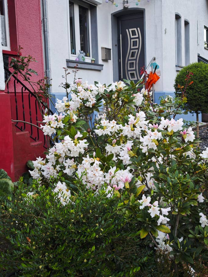 Photo prise avec le Xiaomi 14 Ultra