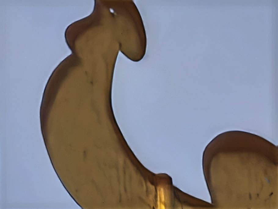 Photo prise avec le Xiaomi 14 Ultra