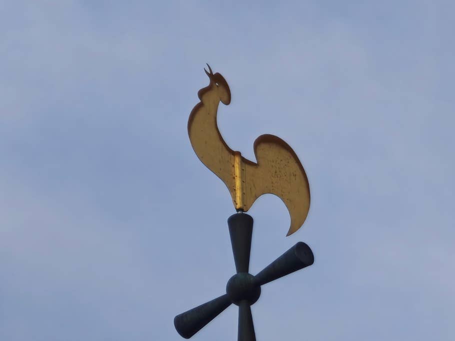 Photo prise avec le Xiaomi 14 Ultra