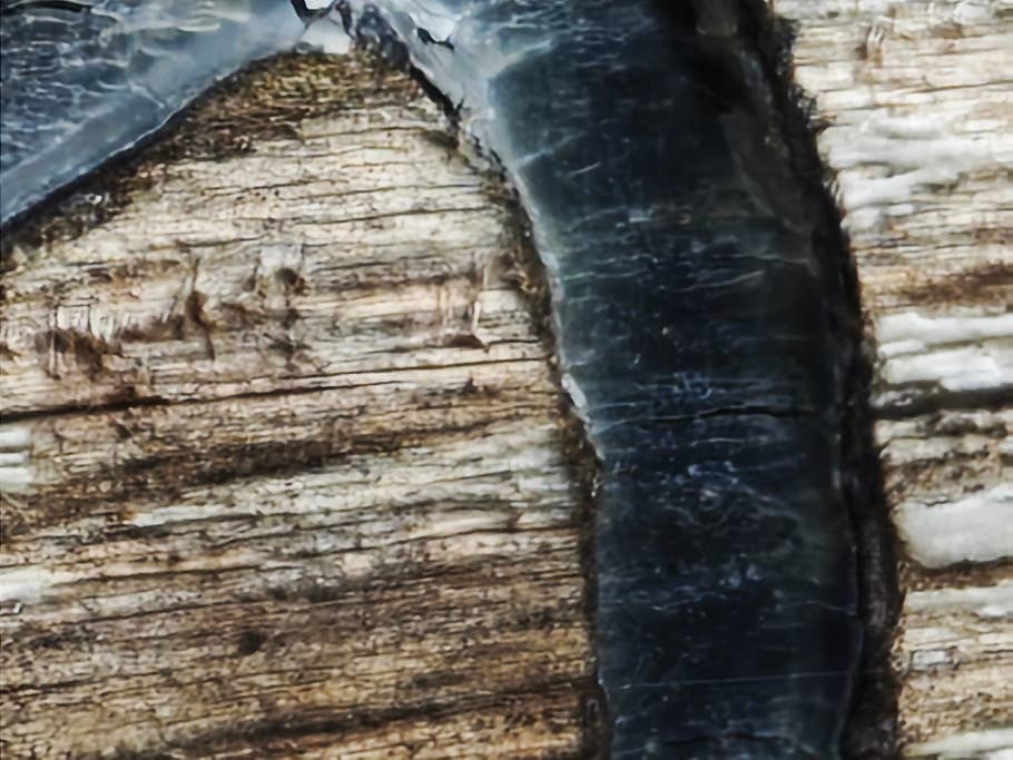 Photo prise avec le Xiaomi 14 Ultra